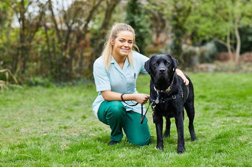 profile picture of Broughton Veterinary Group, Leicester profile picture