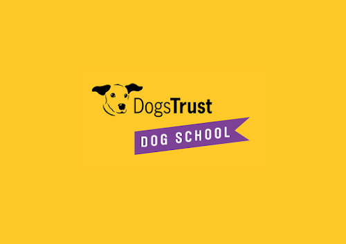 Dogs Trust Dog School - Leicestershire