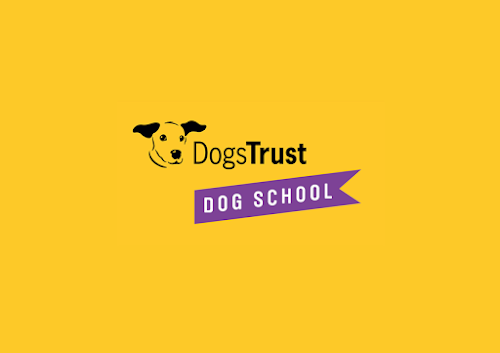 profile picture of Dogs Trust Dog School - Leicestershire profile picture