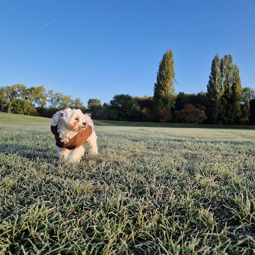 profile picture of Knighton Park