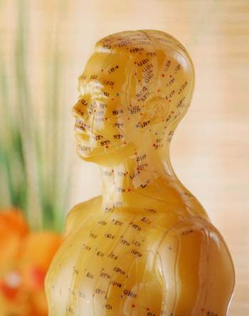 profile picture of Acupuncture & Herbs