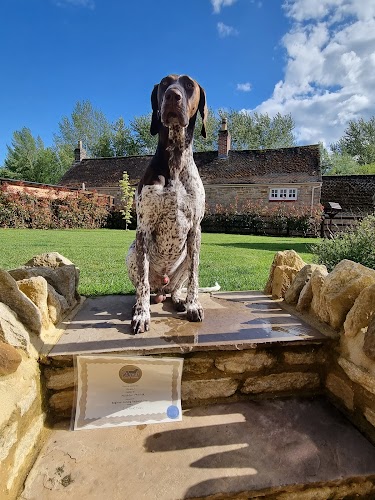 profile picture of Acer Gundog Training Ltd profile picture