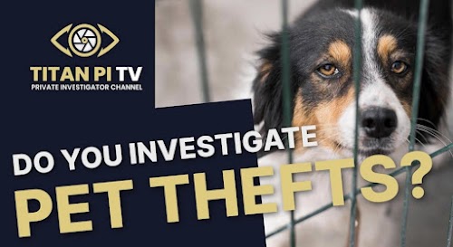 profile picture of Titan Private Investigation Ltd.