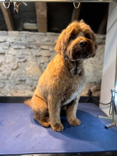 profile picture of Dogs of Oxford Grooming