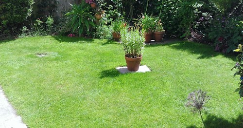 Greensleeves Lawn Care North Yorkshire