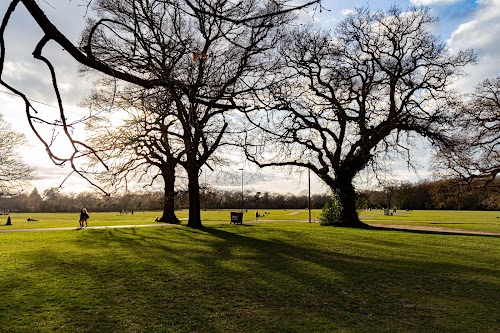 profile picture of Southampton Common