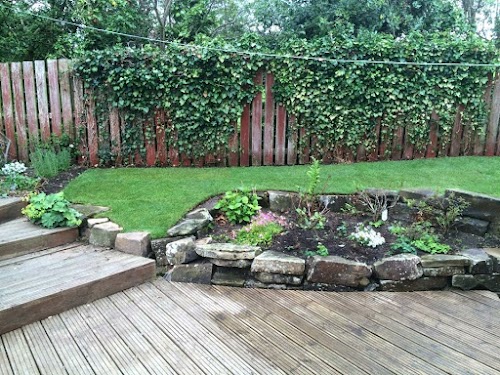 profile picture of DF Landscaping and Tree Care