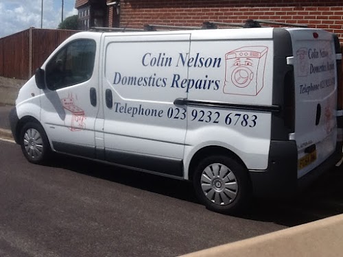 profile picture of Nelson Domestic Repairs profile picture