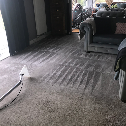 Crazy Carpet & Upholstery Cleaning - Devon & Cornwall