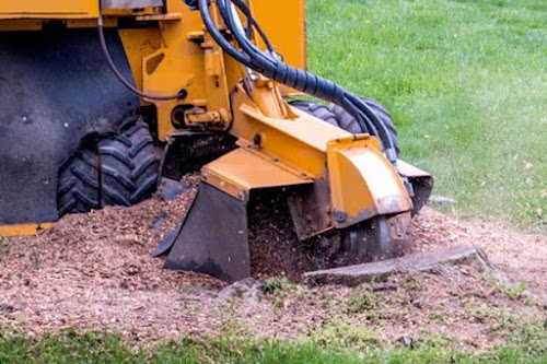 profile picture of BOLTON TREE & STUMP REMOVALS/BOLTON TREE SURGEON