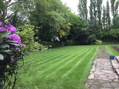 profile picture of LazyLawn Artificial Grass - North Manchester profile picture