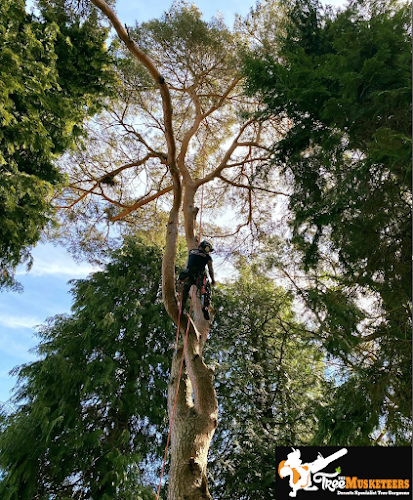 profile picture of Arbor Vitae Tree Care