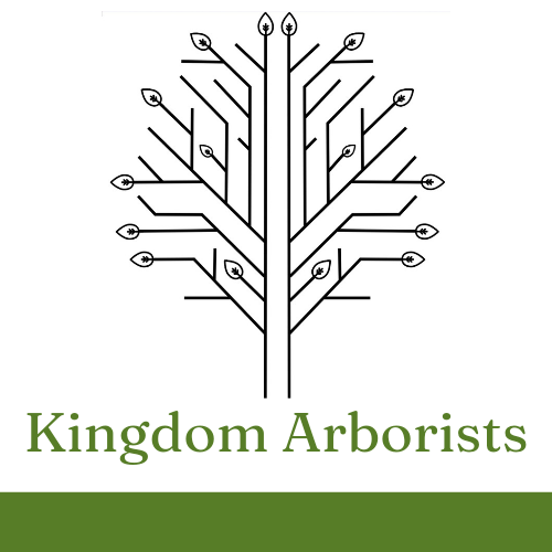 profile picture of Kingdom Arborists