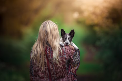 profile picture of Crazelpup Dog Training