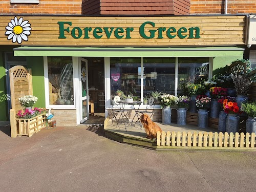 profile picture of Forever Green Florist and Gifts profile picture