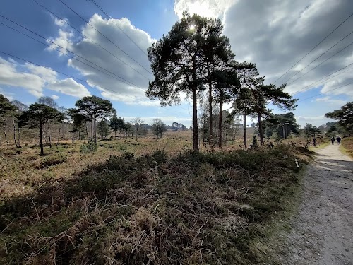 profile picture of Knighton Heath Golf Club