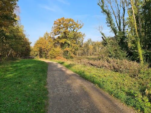 profile picture of Weald Country Park