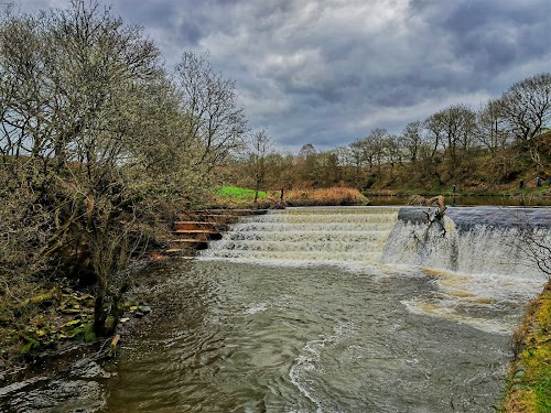 profile picture of Burrs Country Park