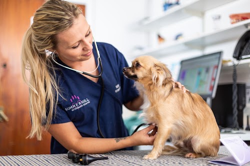 profile picture of Summercourt Veterinary Surgery