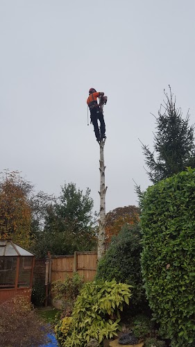 profile picture of Boningale Tree Services