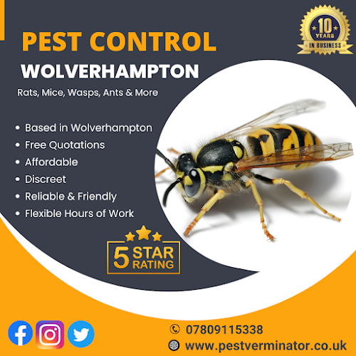Anti-Pest Pest Prevention - Wolverhampton