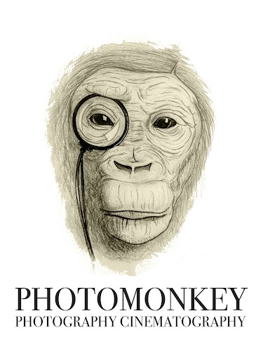 profile picture of PhotoMonkey profile picture