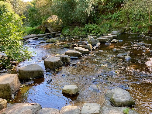 profile picture of National Trust - Hardcastle Crags