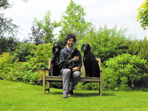 profile picture of Merry Dogs Behavioural Consultancy & Dog Training profile picture