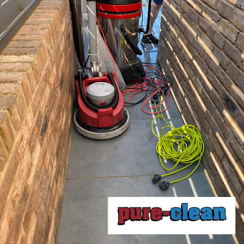 profile picture of Pure-clean Carpet & Upholstery Cleaning profile picture