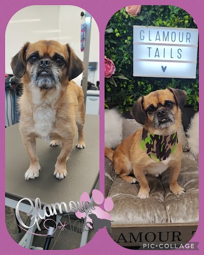 profile picture of Glamour Tails dog grooming profile picture