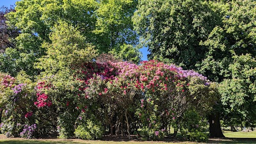 Victoria Park, Aberdeen