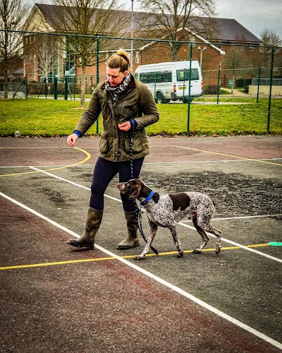 profile picture of Hannah McMillan Dog Training & Behaviour profile picture