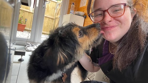 profile picture of Sara’s Dog Grooming Cwtch