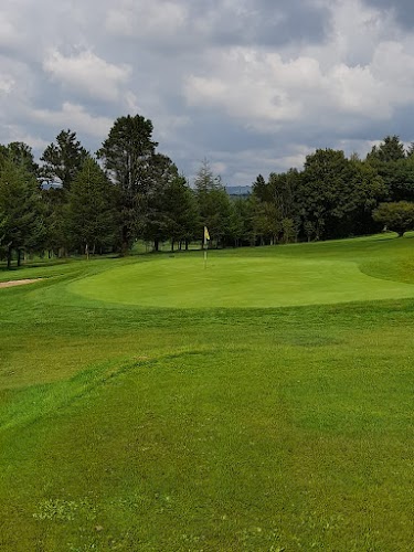 profile picture of Carmarthen Golf Club & Driving Range profile picture