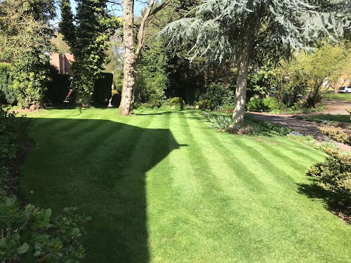 Greensleeves Lawn Care Leicester West