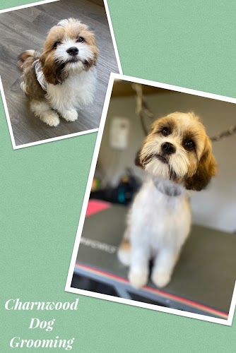 profile picture of Charnwood Dog Grooming