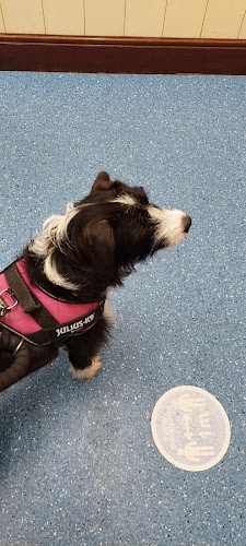 profile picture of Flookersbrook Veterinary Surgery