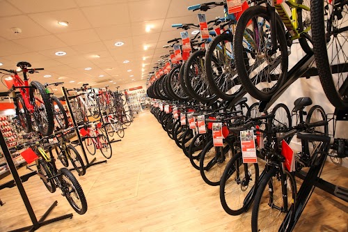 SPECIALIZED CONCEPT STORE
