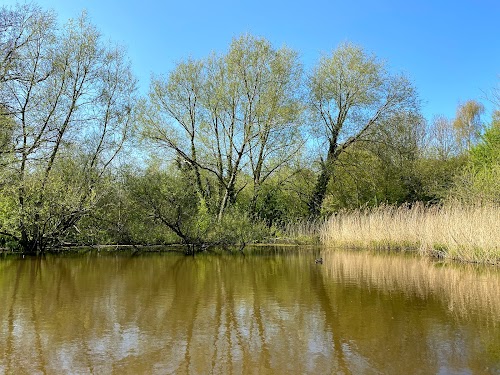 profile picture of Caldy Nature Park