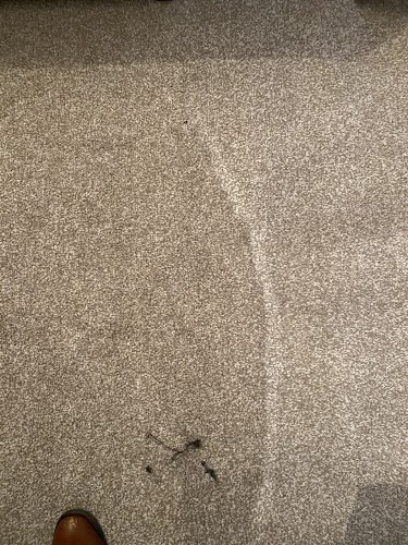 profile picture of Pro Finish Carpet Cleaning