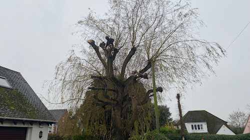 profile picture of Evergreen Tree Surgery