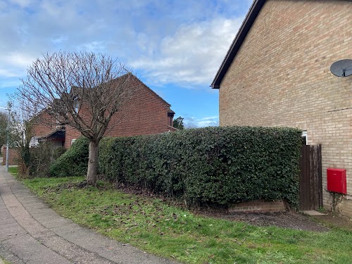 profile picture of Evergreen Tree Surgery