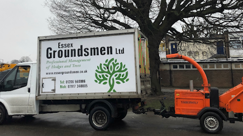 profile picture of Essex Groundsmen Ltd