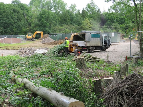 profile picture of Tree Surgeon Colchester