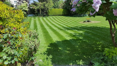 profile picture of Grasshopper Lawncare