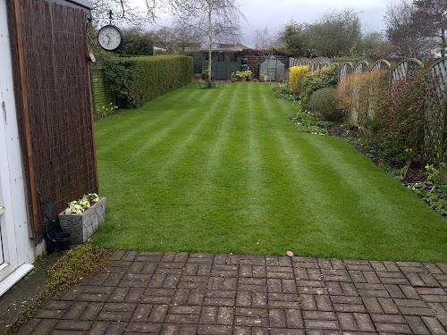 profile picture of Grasshopper Lawncare