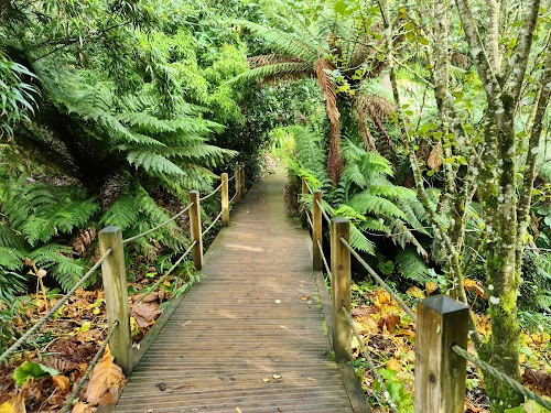 profile picture of The Lost Gardens of Heligan