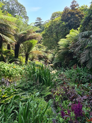 profile picture of National Trust - Trelissick Garden profile picture