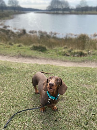 profile picture of Walkies with Womble