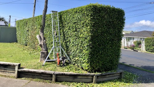 profile picture of SML Tree & Hedge Services profile picture